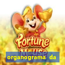 organograma da cacau show