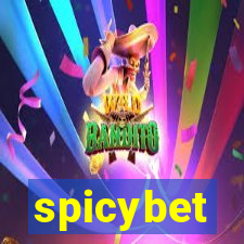 spicybet-3.com