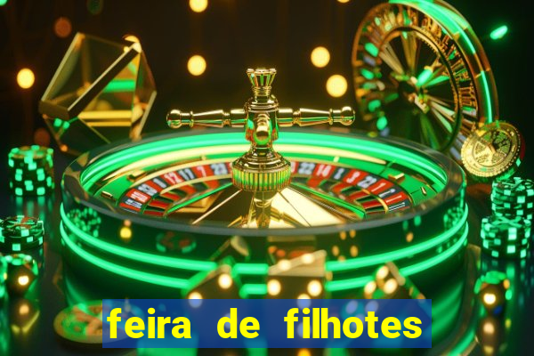 feira de filhotes porto alegre